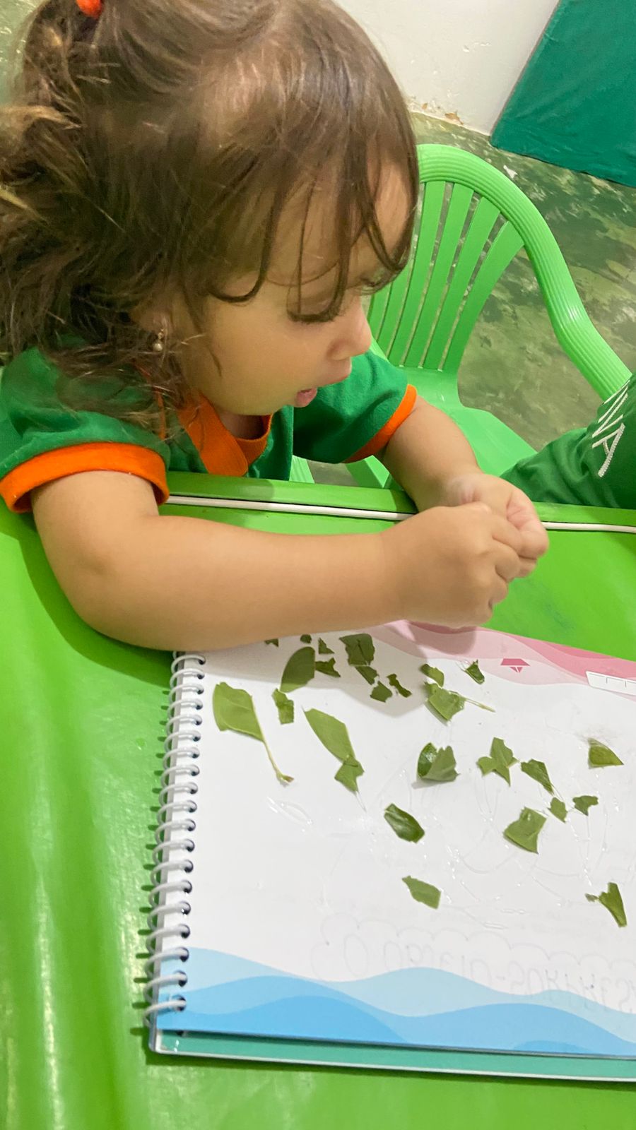 WhatsApp Image 2025-05-30 at 12.38.52 (1)