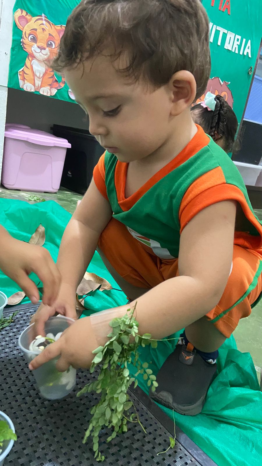 WhatsApp Image 2025-08-15 at 13.49.02